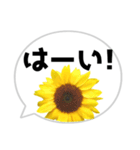 *花* ひまわり＆吹き出し（個別スタンプ：12）