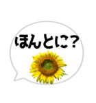 *花* ひまわり＆吹き出し（個別スタンプ：14）