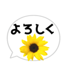 *花* ひまわり＆吹き出し（個別スタンプ：16）