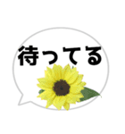 *花* ひまわり＆吹き出し（個別スタンプ：17）