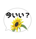 *花* ひまわり＆吹き出し（個別スタンプ：19）