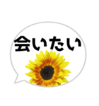 *花* ひまわり＆吹き出し（個別スタンプ：20）