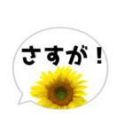 *花* ひまわり＆吹き出し（個別スタンプ：21）