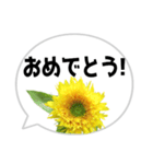 *花* ひまわり＆吹き出し（個別スタンプ：22）