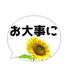 *花* ひまわり＆吹き出し（個別スタンプ：23）