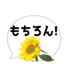 *花* ひまわり＆吹き出し（個別スタンプ：24）
