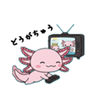 ウーパくん ひさしぶり（個別スタンプ：21）