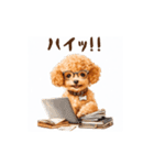 やる気なしトイプードル（個別スタンプ：10）