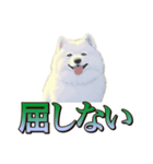 犬味 王の帰還（個別スタンプ：2）