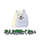 犬味 王の帰還（個別スタンプ：6）