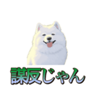 犬味 王の帰還（個別スタンプ：9）