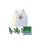 犬味 王の帰還（個別スタンプ：11）