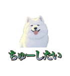 犬味 王の帰還（個別スタンプ：12）
