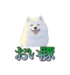 犬味 王の帰還（個別スタンプ：14）