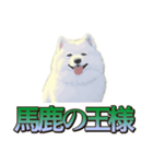 犬味 王の帰還（個別スタンプ：16）