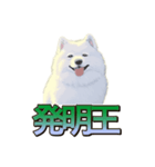 犬味 王の帰還（個別スタンプ：20）