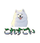 犬味 王の帰還（個別スタンプ：22）