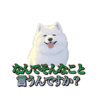犬味 王の帰還（個別スタンプ：23）