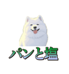 犬味 王の帰還（個別スタンプ：24）