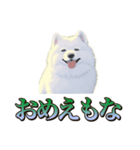 犬味 王の帰還（個別スタンプ：28）