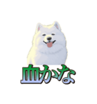 犬味 王の帰還（個別スタンプ：30）