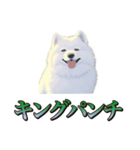 犬味 王の帰還（個別スタンプ：31）