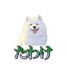 犬味 王の帰還（個別スタンプ：36）