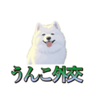犬味 王の帰還（個別スタンプ：37）