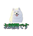 犬味 王の帰還（個別スタンプ：38）