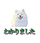 犬味 王の帰還（個別スタンプ：39）