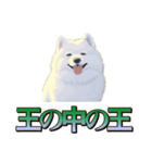 犬味 王の帰還（個別スタンプ：40）