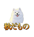 犬味 秋だもの（個別スタンプ：1）