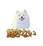 犬味 秋だもの（個別スタンプ：4）