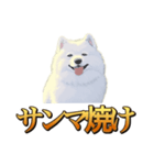 犬味 秋だもの（個別スタンプ：6）