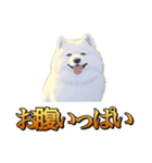 犬味 秋だもの（個別スタンプ：7）