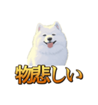 犬味 秋だもの（個別スタンプ：8）