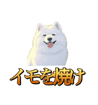 犬味 秋だもの（個別スタンプ：10）