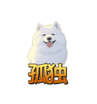 犬味 秋だもの（個別スタンプ：11）