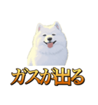 犬味 秋だもの（個別スタンプ：12）