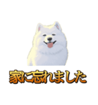 犬味 秋だもの（個別スタンプ：14）