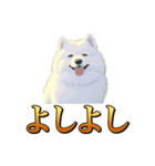 犬味 秋だもの（個別スタンプ：15）