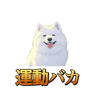 犬味 秋だもの（個別スタンプ：17）