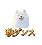 犬味 秋だもの（個別スタンプ：18）