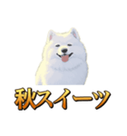 犬味 秋だもの（個別スタンプ：19）