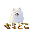 犬味 秋だもの（個別スタンプ：20）