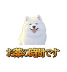 犬味 秋だもの（個別スタンプ：22）