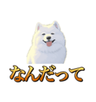 犬味 秋だもの（個別スタンプ：24）