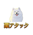 犬味 秋だもの（個別スタンプ：25）