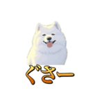 犬味 秋だもの（個別スタンプ：26）