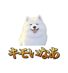 犬味 秋だもの（個別スタンプ：27）